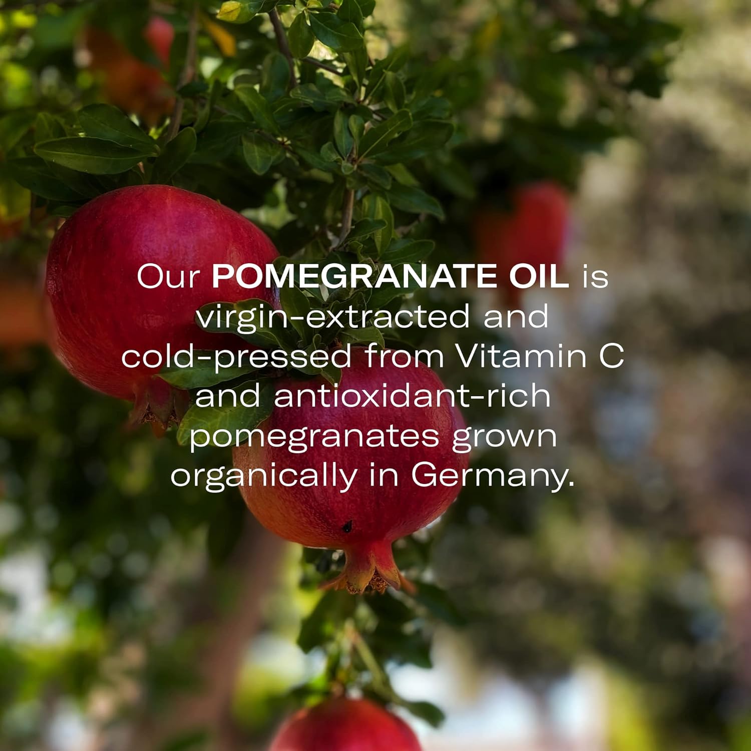 Odacité Hydrating Serum Concentrate with Pomegranate & Rose Geranium - for Hydration & Glow - Hydrating & Nourishing Anti-Aging Facial Oil Concentrate Enhance Skins Moisture Barrier - 0.17 fl. oz-GlimoraGlow