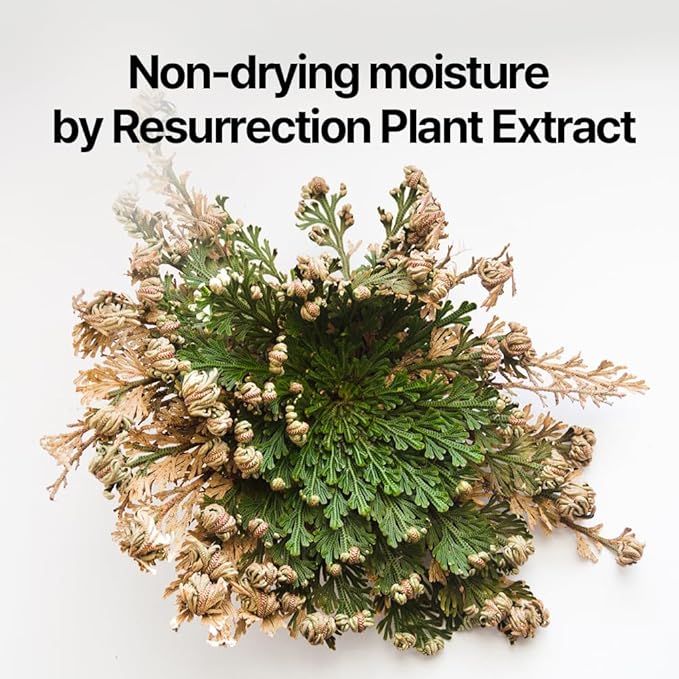 Pyunkang Yul PKY Dancheong Body Lotion, Intensive Moisture, Natural Scents with Essential Oils, Inspired by Fade-Resistant Korean Dancheong, Zero Irritation, Korean Skincare (11.83 Fl. Oz, 350ml)-GlimoraGlow