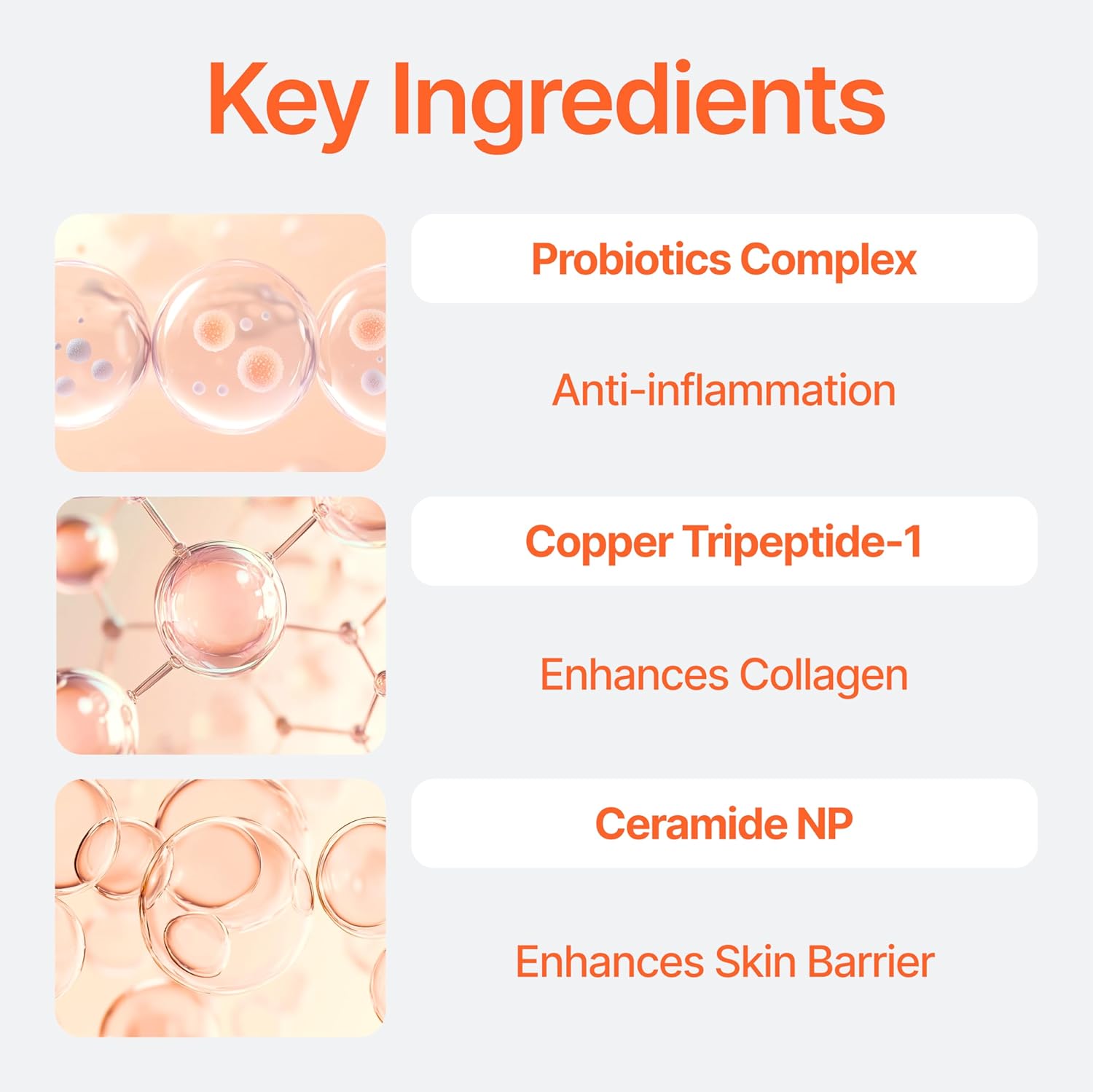 Bifida Barrier Ampoule, CUSKIN, Mild and Moisturizing Korean Skin Care Face Serum Ampoule with Ceramide NP and Hyaluronic Acid for Hydration and Skin Elasticity, 50ml (1.69 Fl. Oz.)-GlimoraGlow