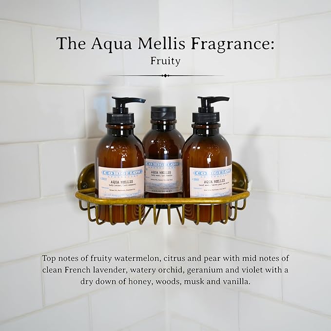 C.O. Bigelow Aqua Mellis Body Lotion, Iconic Collection Moisturizing Body Lotion with Shea Butter, Borage Oil & Grapeseed Oil, 10.5 Fl Oz-GlimoraGlow