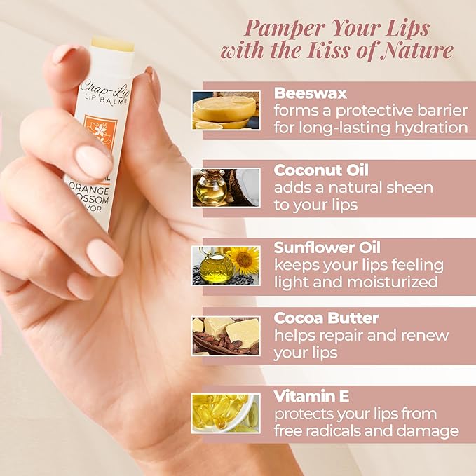 100% Natural Lip Balm Set - Hydrating and Moisturizing Beeswax Natural 4 Flavor Assortment - Lip Moisturizer for Dry Lips - Cocoa Butter - Petroleum Free Pack of 24-GlimoraGlow