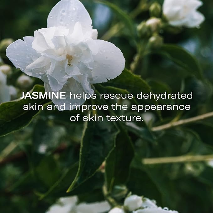 Odacité Anti Aging Serum Concentrate with Blueberry + Jasmine, Hydrating & Skin Brightening Anti-Aging Facial Oil Concentrate for Mature & Tired Skin - 0.17 fl. oz-GlimoraGlow