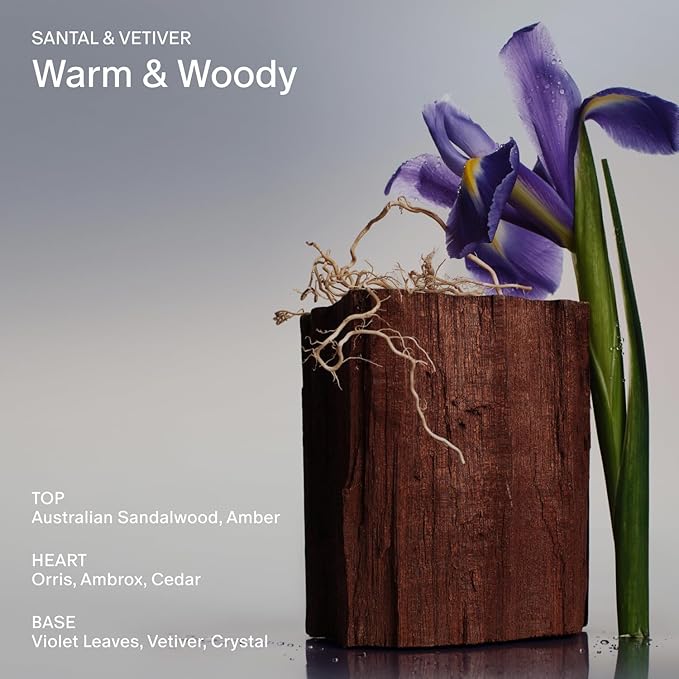 Salt & Stone Body Wash with Antioxidants for Deep Moisture | For Women & Men, Sulfate, Paraben, & Dye Free, Leaving Skin Soft and Hydrated | Santal & Vetiver 32 fl oz-GlimoraGlow