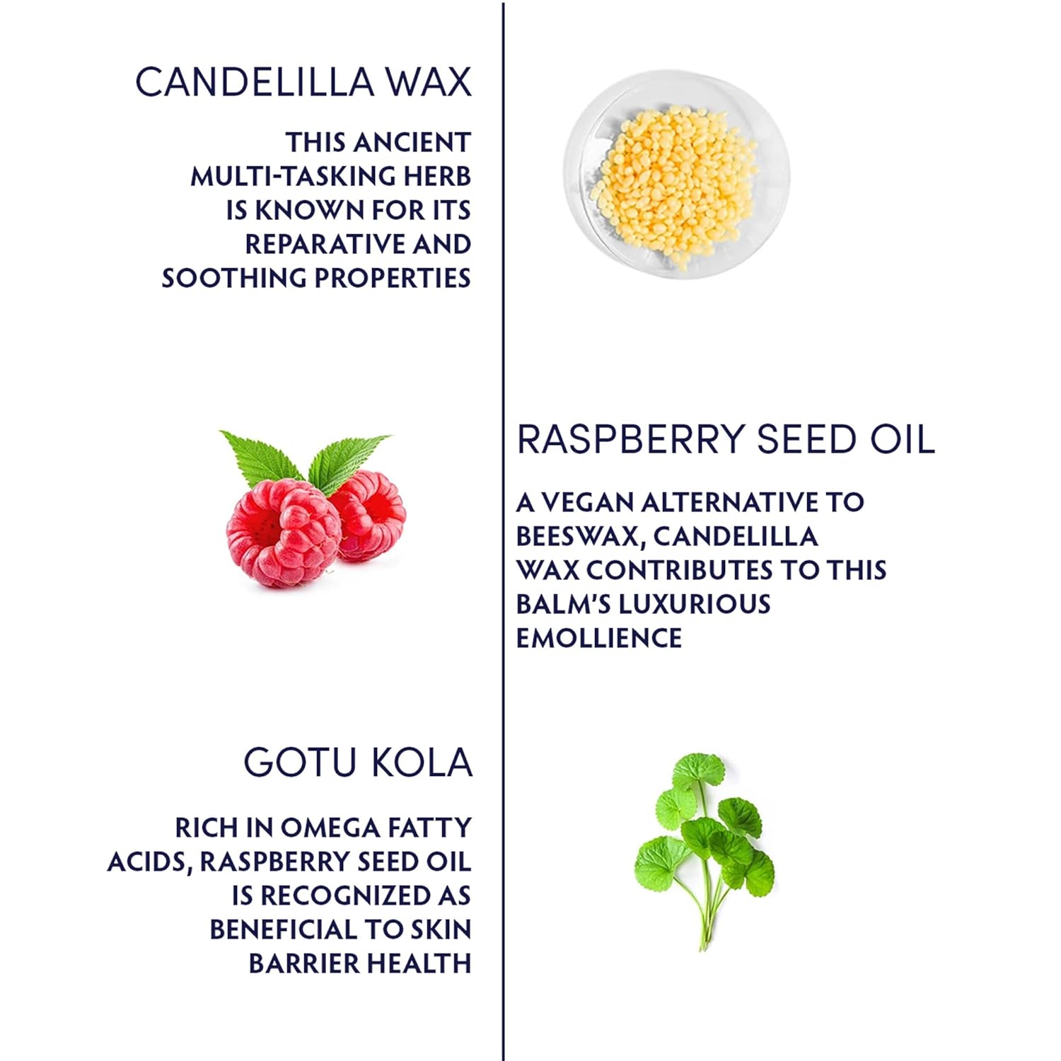 Naturopathica Gotu Kola Intense Repair Balm, Daily Facial Moisturizer for Skin Barrier Repair, Hydrating Face Cream to Help Reduce Redness, 2.8 oz-GlimoraGlow