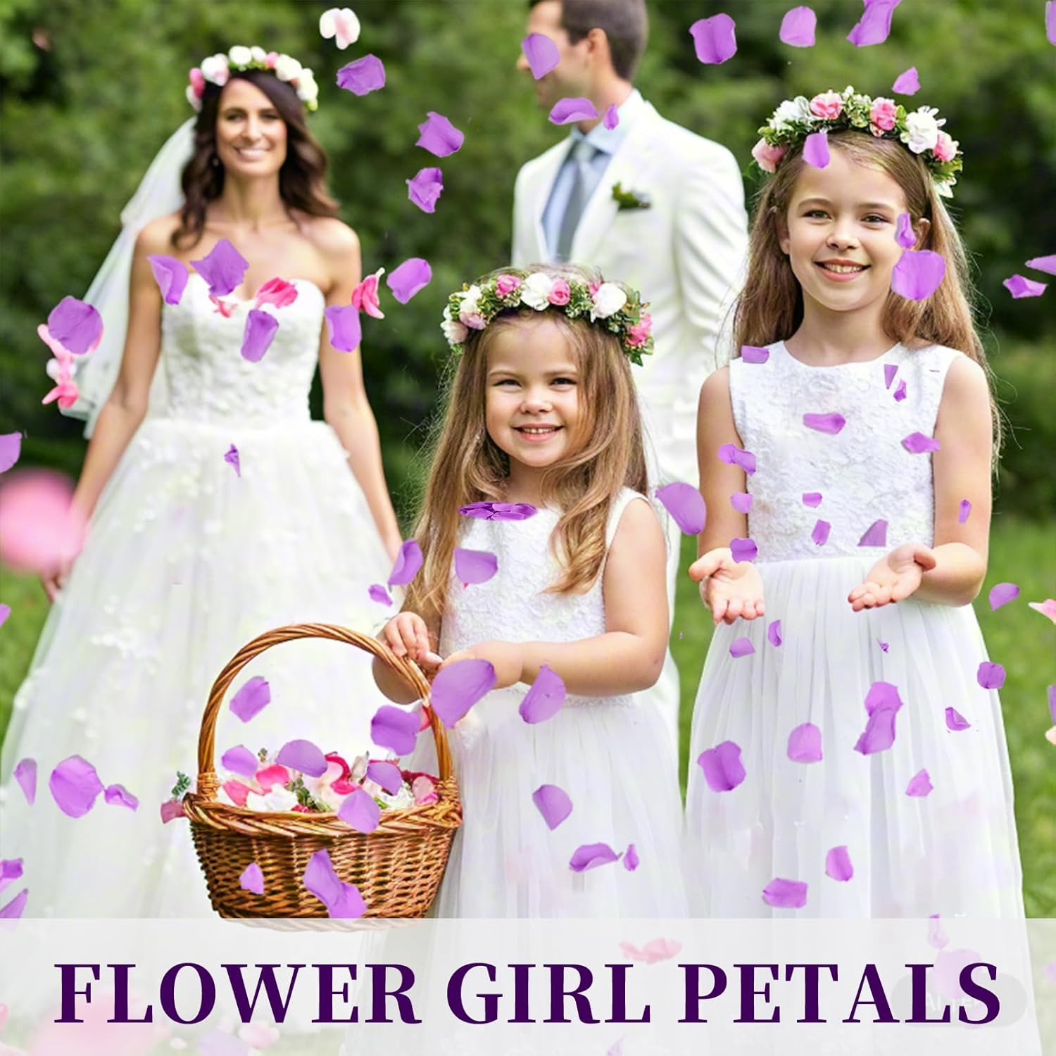 180 PCS Real Purple Rose Petals for Wedding, 1.76oz Dried Flower Petal for Flower Girl to Throw, Romantic Night Shower Party Proposal Centerpiece Table Decor