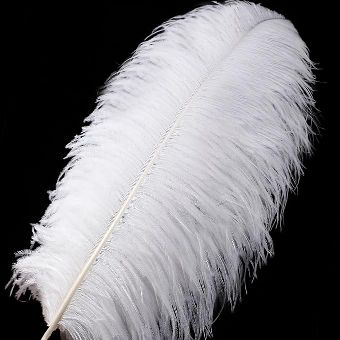 Larryhot White Large Ostrich Feathers - 16-18 inch 10pcs Feathers for Vase,Wedding Party Centerpieces and Home Decorations (White)