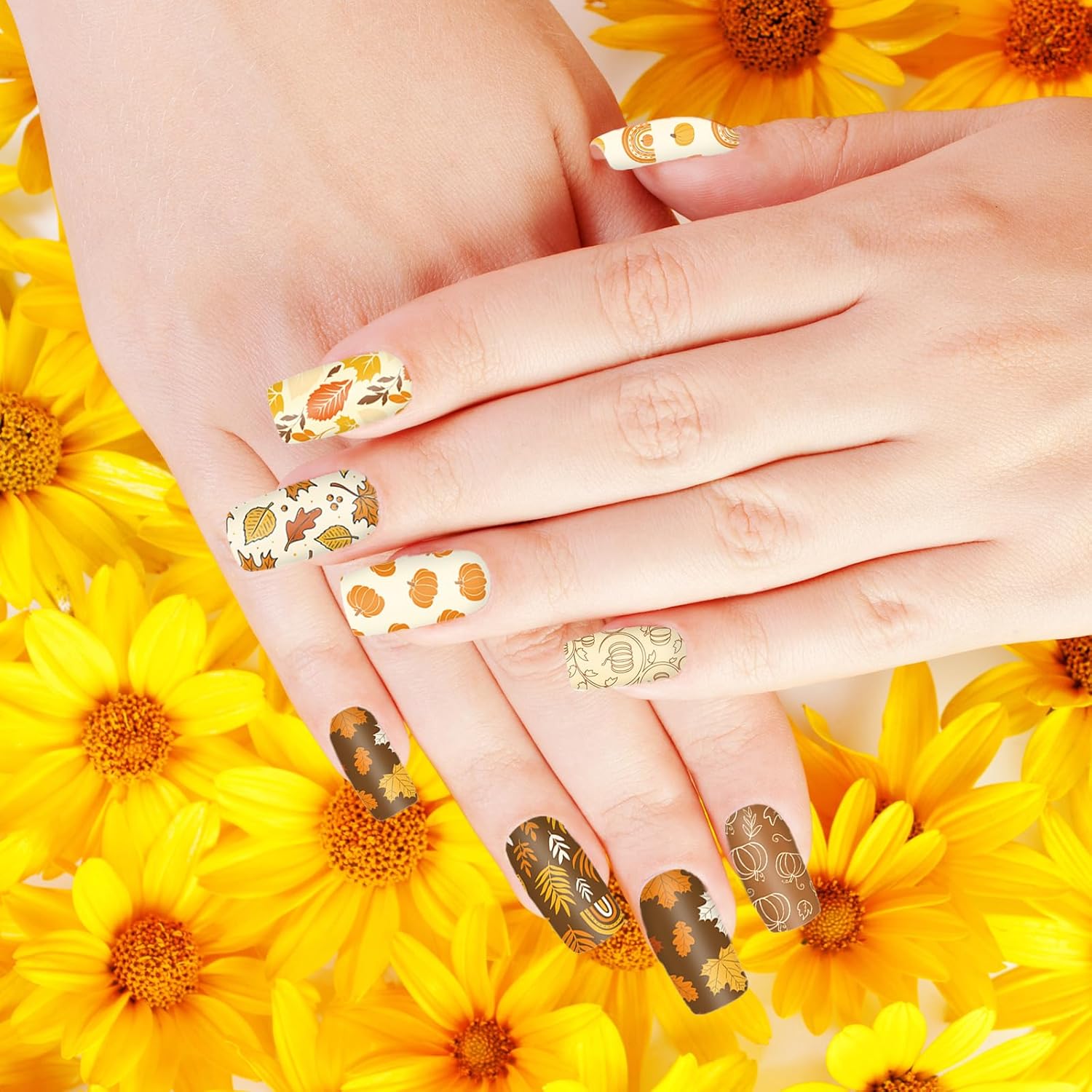 2 Sheet Fall Thanksgiving Nail Art Stamping Plate Kit Assorted Pumpkins Maple Leaves Autumn Blessing Collection Nail Art Plate for Holiday DIY Print Manicure Salon, 5.7 x 3.7inch-GlimoraGlow