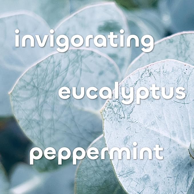 Seaweed Bath Co. Hydrate Body Cream, Eucalyptus Peppermint Scent, 6 Ounce, Nourishing Hand & Body Lotion Moisturizer for Dry Skin, with Sustainably Harvested Seaweed, Kukui Oil, Hyaluronic Acid-GlimoraGlow