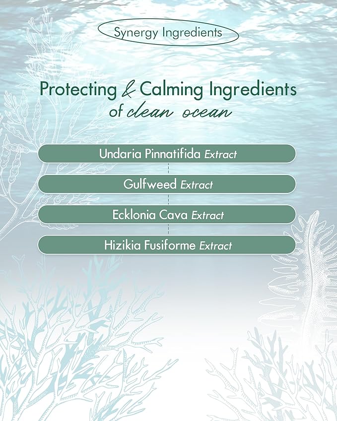 SKINCURE Vegan Seaweed Mud Mask, Korean skincare Blackhead Remover Clay Mask for Pore Cleansing with Kaolin & Bentonite, Oil Control & Gentle Exfoliation, 3.5oz-GlimoraGlow