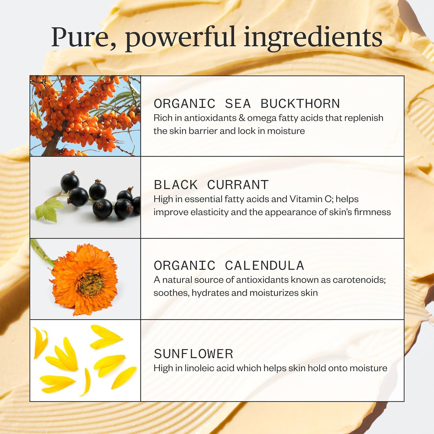 Ursa Major Golden Hour Face Moisturizer | Vegan Recovery Cream for Daily Facial Moisturizing | Repair & Hydrate | Natural Formula for All Skin Types | Cruelty Free & Non-Toxic 1.57 oz-GlimoraGlow