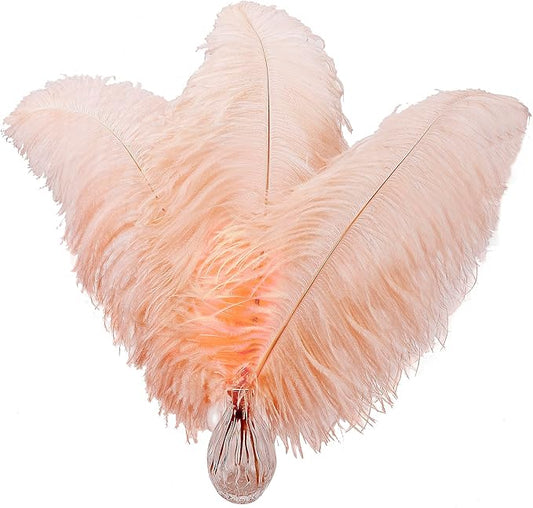 Larryhot 16-18inch Ostrich Feathers Plumas - 10pcs Boho Feathers for Vase Decoration,Wedding Party Centerpieces and Home Decorations (Champagne)