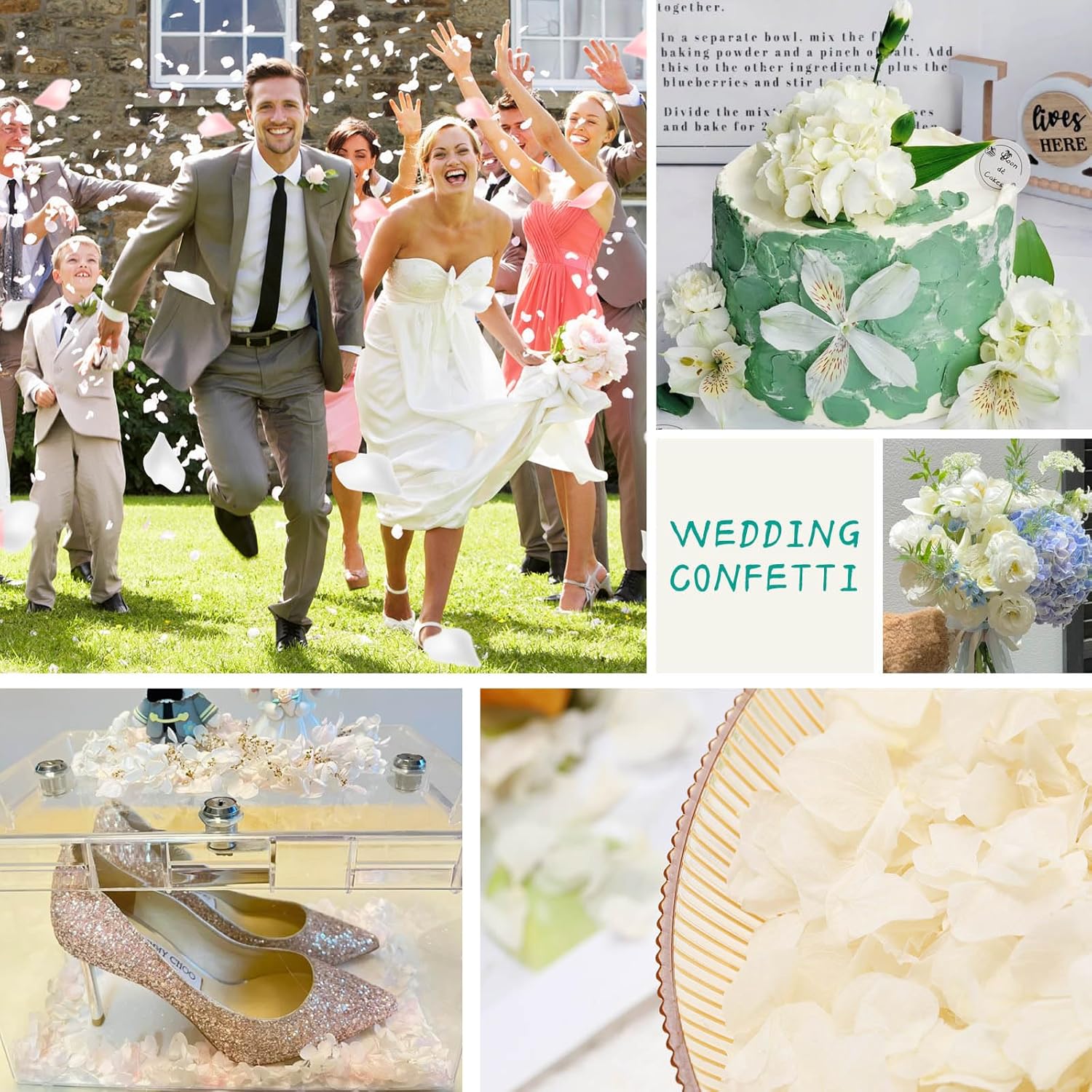 Dried Real Hydrangea Petals, Natural Preserved Dry Flower Petal for Wedding Party Dinner Table Decor, Romantic Night for Her, Engagement, Bridal Shower, Valentines Day, Confetti (1.1oz, Ivory White)