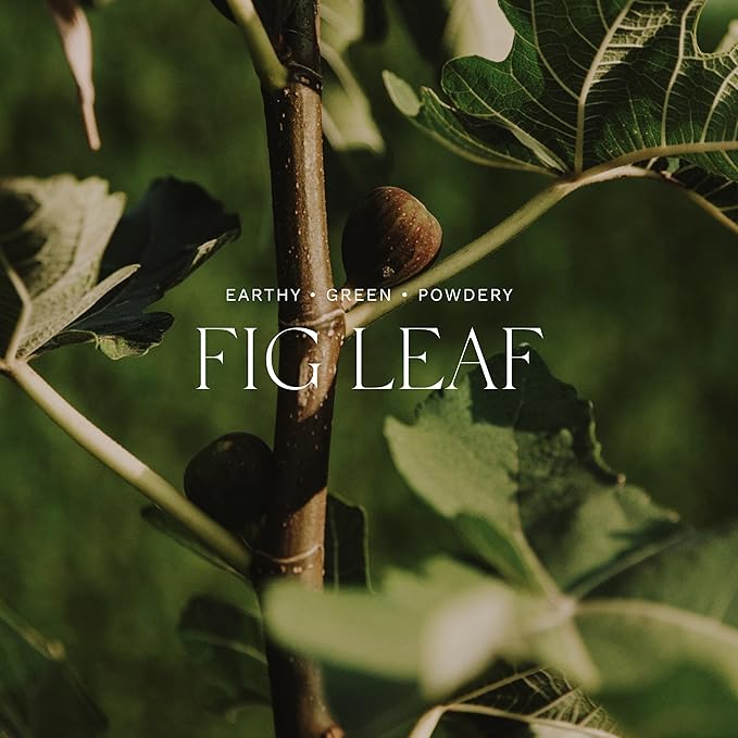 Antica Farmacista Body Moisturizer - Moisturizing Scented Lotion - Premium Body Moisturizer - Luxury Gift for Women & Men - Hand & Skin Hydration - Fig Leaf, 10 Fl Oz-GlimoraGlow