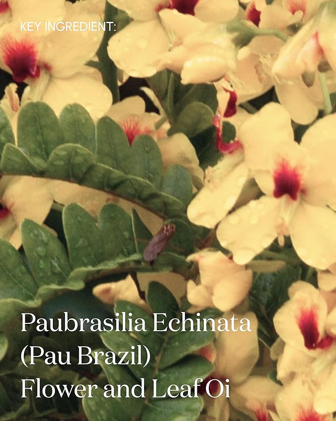 The Premise Postbiomic Body Oil, After Shower Toning & Transformative Body Care, Vegan & Organic Fermented Skin Oil, 100 mL Rejuvenating Oil for Skin & Body-GlimoraGlow