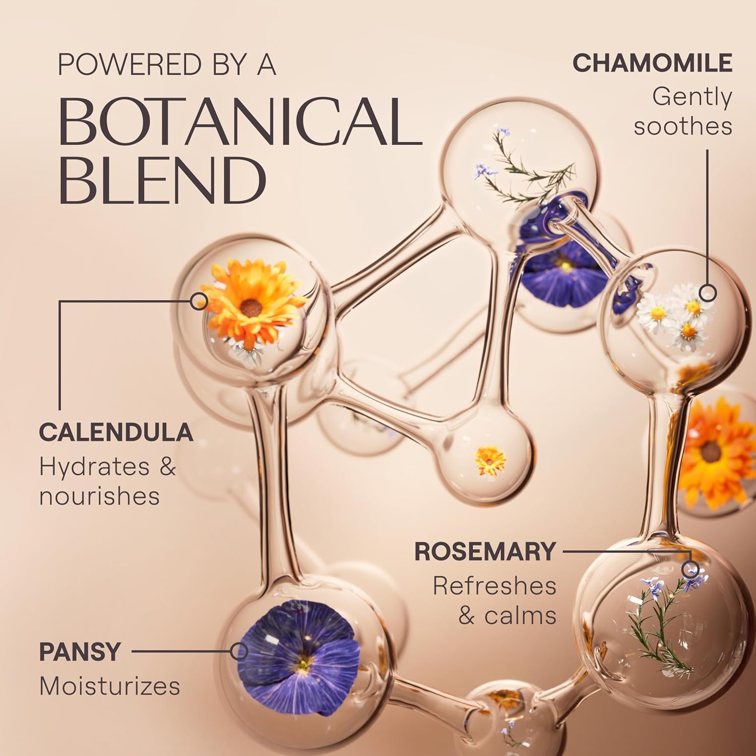 Weleda - Skin Food Light Moisturizing Cream 3-pack - Fast-Absorbing, Ultra-Hydrating Formula with Sunflower Oil and Pansy Extract-GlimoraGlow