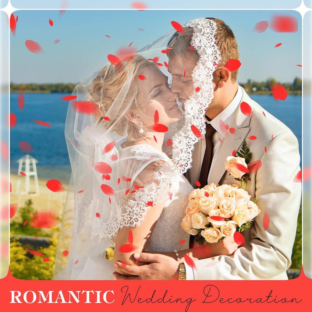 230 PCS Red Dired Rose Petals 2.1oz/60g Natural Real Rose Flower Petals for Wedding Aisle, Flower Girl Basket, Will You Marry Me, Valentines Day, Romantic Night, Proposal, Anniversary, Special Night