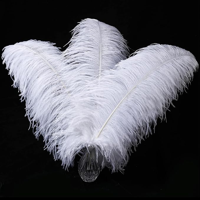 Larryhot White Large Ostrich Feathers - 16-18 inch 10pcs Feathers for Vase,Wedding Party Centerpieces and Home Decorations (White)