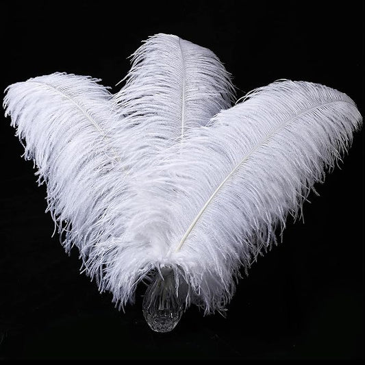 Larryhot White Large Ostrich Feathers - 16-18 inch 10pcs Feathers for Vase,Wedding Party Centerpieces and Home Decorations (White)