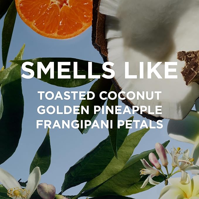 By Rosie Jane Everyday Body Milk (Missy) - Hydrating Toner & Body Moisturizer to Help Even Skin Tone - Infused with Soothing Aloe Vera and Turmeric Root to Promote Anti-Aging (5 Ounce)-GlimoraGlow