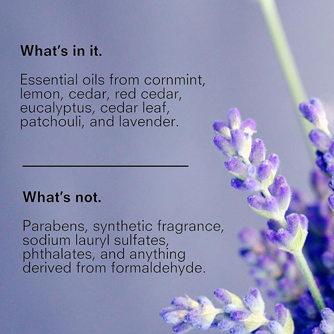 Public Goods Body & Hand Lotion for Women & Men | Natural Moisturizing Daily Lotion for Dry & Itchy Skin | Paraben & Sulfate Free | Made with Organic Essential Oils | Made in Canada | 34 Fl Oz Refill-GlimoraGlow