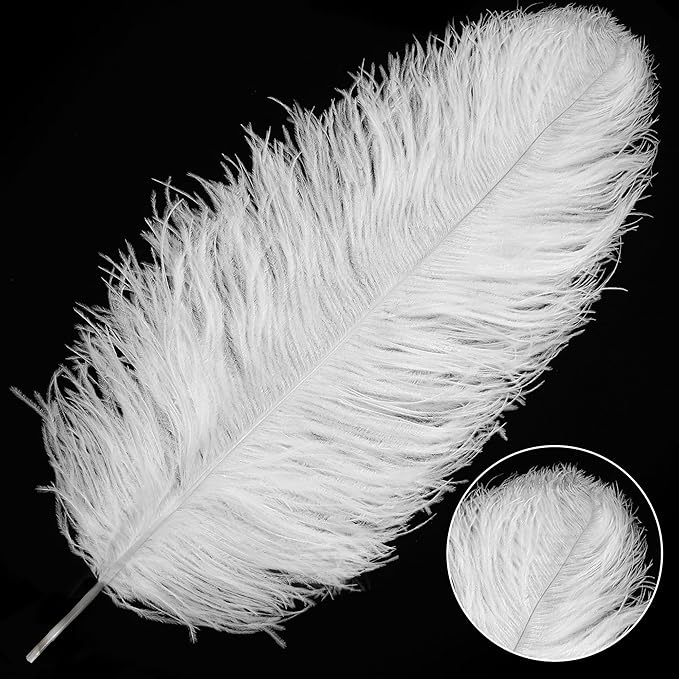 Larryhot White Large Ostrich Feathers - 28-30 inch 10pcs Feathers for Vase,Wedding Party Centerpieces and Home Decorations (White)