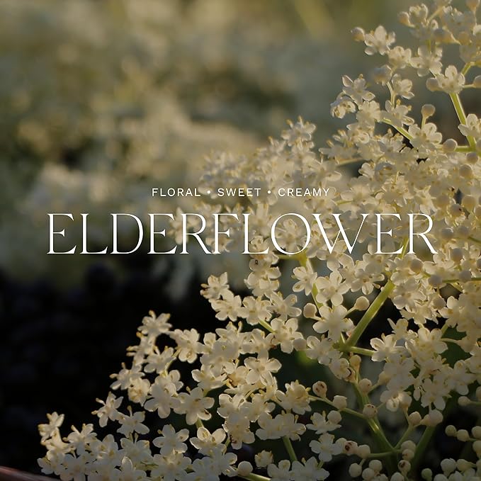 Antica Farmacista Body Moisturizer - Moisturizing Scented Lotion - Premium Body Moisturizer - Luxury Gift for Women & Men - Hand & Skin Hydration - Elderflower, 10 Fl Oz-GlimoraGlow