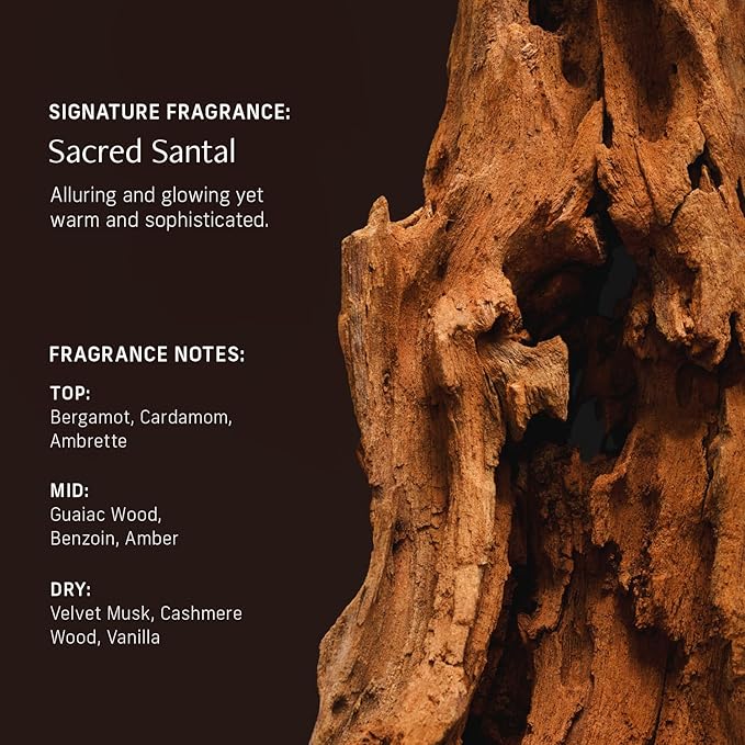 Nutrient Rich Body Cream. Sacred Santal Nourishing Moisturizer with Niacinamide and Banana Flower Extract. Deep Hydration, Thick Body Lotion, Dry Skin Cream for Women and Men, 8 Fl Oz-GlimoraGlow