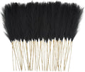 50pcs Faux Pampas Grass, 21.6" Short Artificial Pompous Grass Floral Fake Pompas Grass Branches Vase Filler Flower Arrangement for Home Wedding Boho Decor, Black