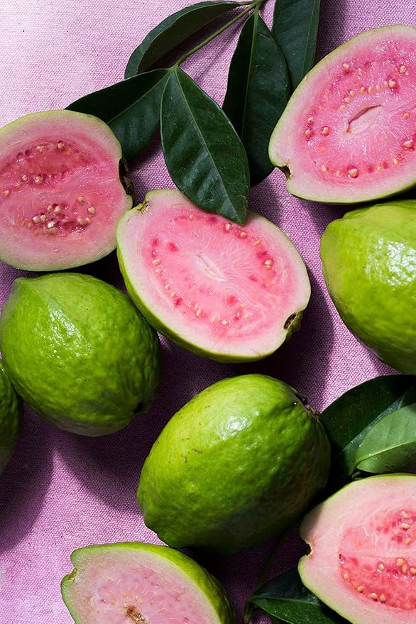 KORRES Elasti-Smooth Body Butter Cream, Dry Skin Lotion with Shea Butter and Almond Oil, Moisturizing, Firming, Tightening and Hydrating After Shower Care For Women & Men, Guava Fragrance, 4.23 Fl Oz-GlimoraGlow