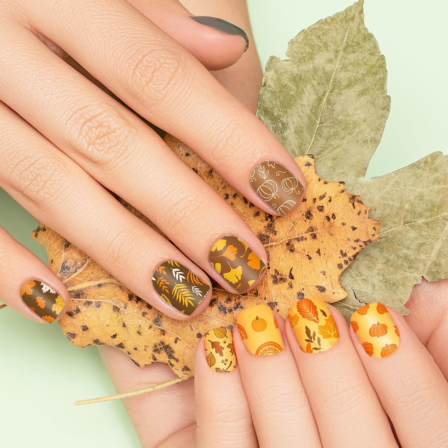 2 Sheet Fall Thanksgiving Nail Art Stamping Plate Kit Assorted Pumpkins Maple Leaves Autumn Blessing Collection Nail Art Plate for Holiday DIY Print Manicure Salon, 5.7 x 3.7inch-GlimoraGlow