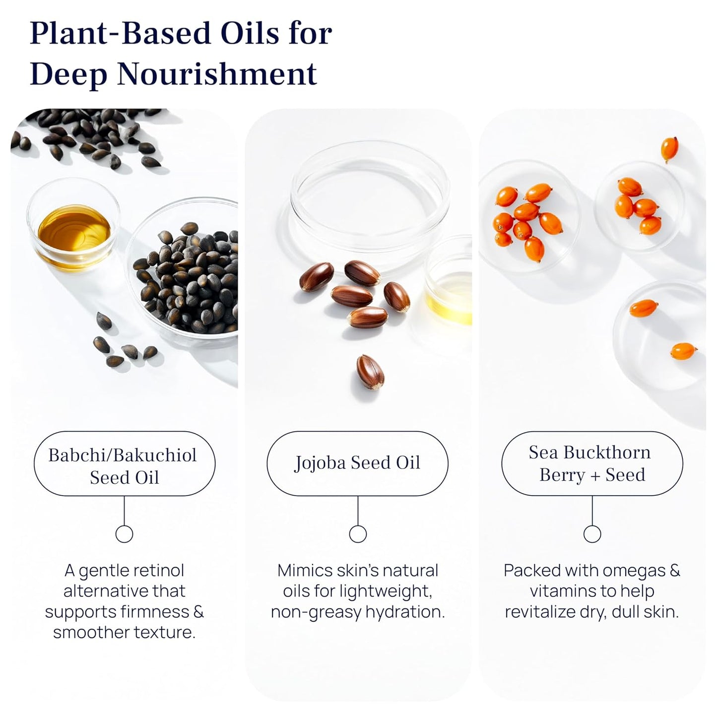 PUREANCE Organic Bakuchiol Plumping Serum - Bakuchiol for Face Skin and Wrinkles - Cellular Restore Serum - With Jojoba Oil, Sea Buckthorn, Camu Camu, Babchi, Maple Leaf Extracts & More - 1 Fl Oz-GlimoraGlow