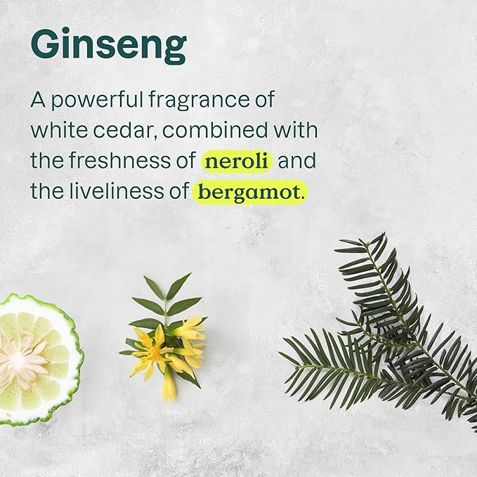 ATTITUDE Body Cream, EWG Verified Moisturizer, Vegan Moisturizing Products For Dry Skin, Dermatologically Tested, Ginseng and Grapeseed Oil, 8 Fl Oz (Pack of 6)-GlimoraGlow