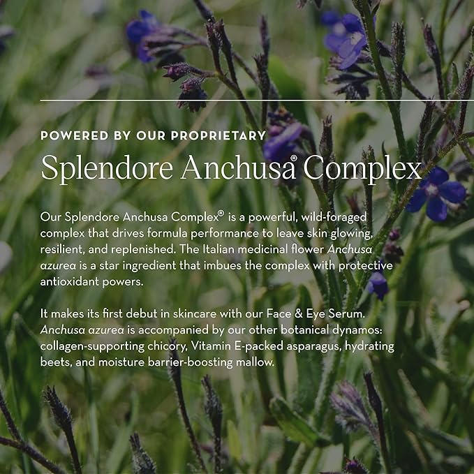 Face & Eye Serum - Dual-Use Formula to Lift, Reduce Puffiness and Even Tone, Wild-Foraged Botanicals, Vegan, Dermatologist Tested, EWG Verified, 15ml-GlimoraGlow