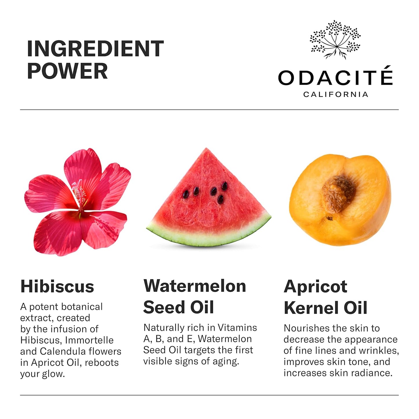 All-Embracing Serum 50ml-GlimoraGlow