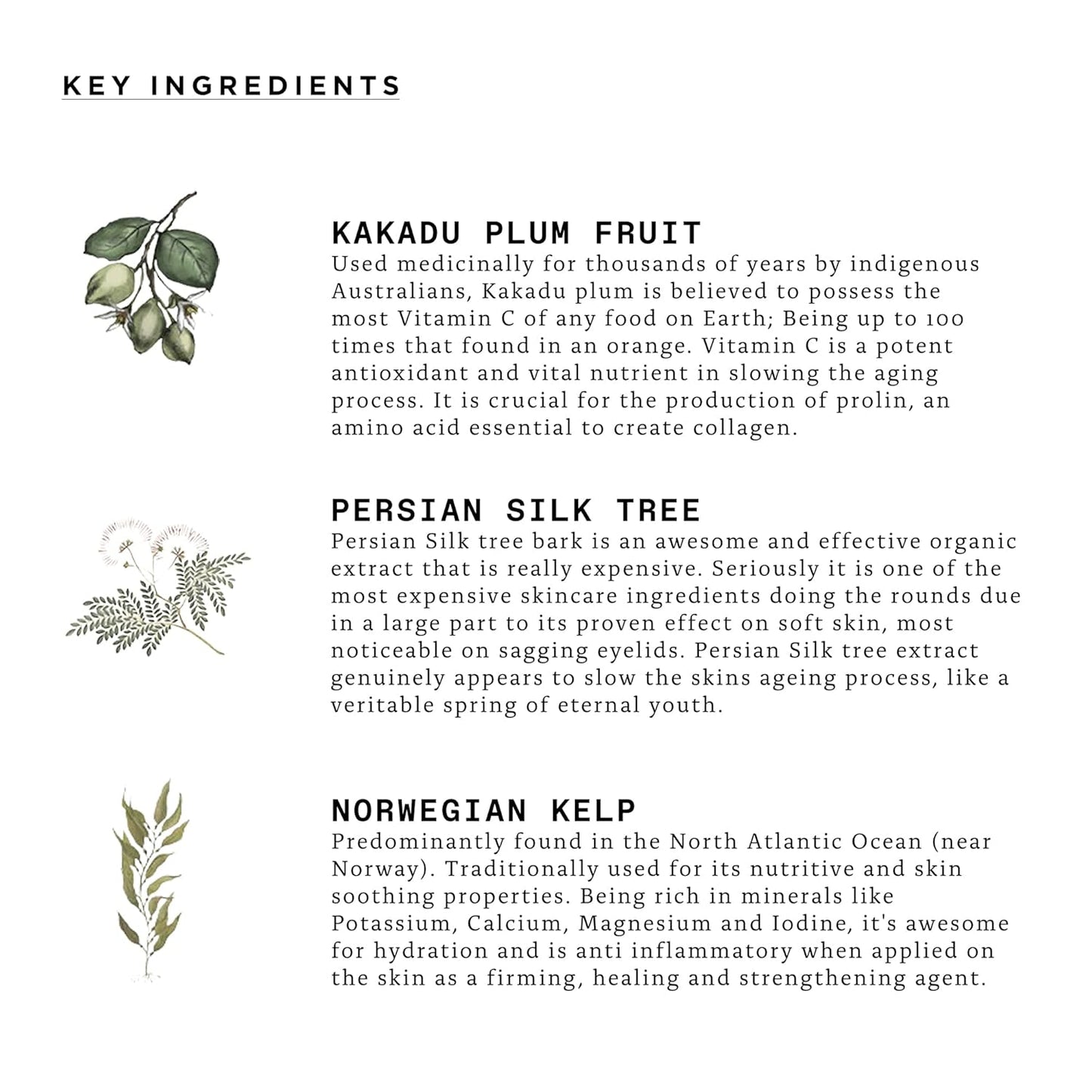 Triumph & Disaster | Dichotomy Eye Serum | Anti-Aging, Targeting Dark Circles, Crows Feet & Puffiness for Men - 0.5 fl oz-GlimoraGlow