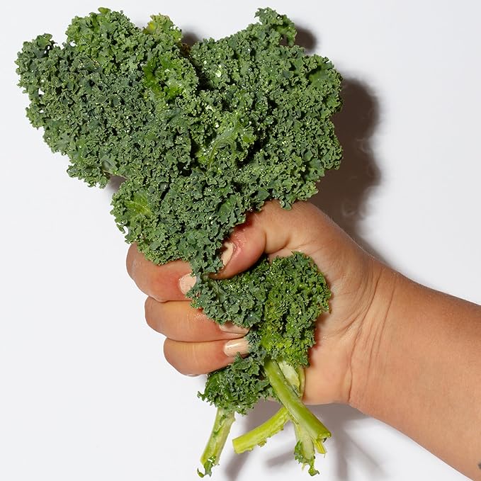 Pacifica Kale Yeah! Redness Rehab Serum – Niacinamide & Super Greens Face Serum to Calm Redness, Minimize Pores & Oil, Soothing Anti-Redness for Oily/Combination Skin Vegan Dermatologist Tested-GlimoraGlow