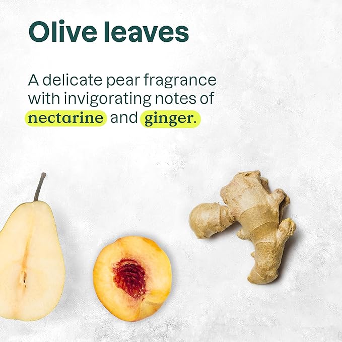 ATTITUDE Body Cream, EWG Verified Moisturizer, Vegan Moisturizing Products For Dry Skin, Dermatologically Tested, Olive Leaves, 8 Fl Oz-GlimoraGlow