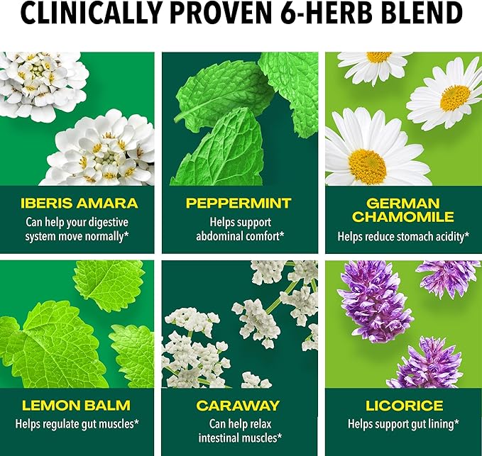 Iberogast Liquid Drops, Herbal Relief of Stomach Upsets: Occasional Indigestion, Bloating, Gas, Nausea, Upset Stomach; Gluten Free; 6-Herb Blend with Iberis Amara, Peppermint, Licorice; 50mL-GlimoraGlow