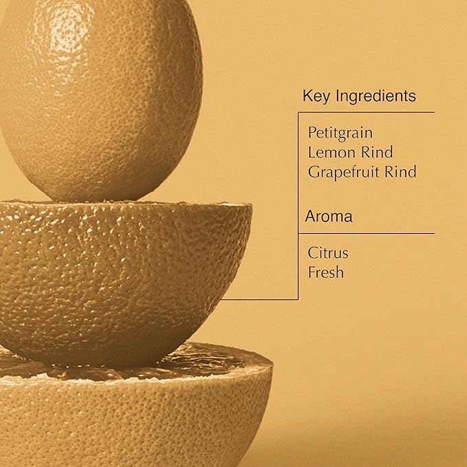 Aesop Citrus Melange Body Cleanser | Gentle Low-Foaming Gel Cleanser For Skin | Citrus Aroma with Botanical Extracts | 16.9 oz / 500 mL-GlimoraGlow