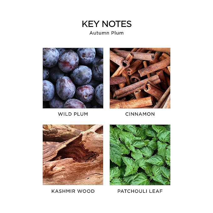 NEST New York Liquid Soap, Autumn Plum - 10 fl oz - Cleanses & Nourishes Skin - Approx. 300 Pumps Per Bottle - Gluten Free & Cruelty Free-GlimoraGlow