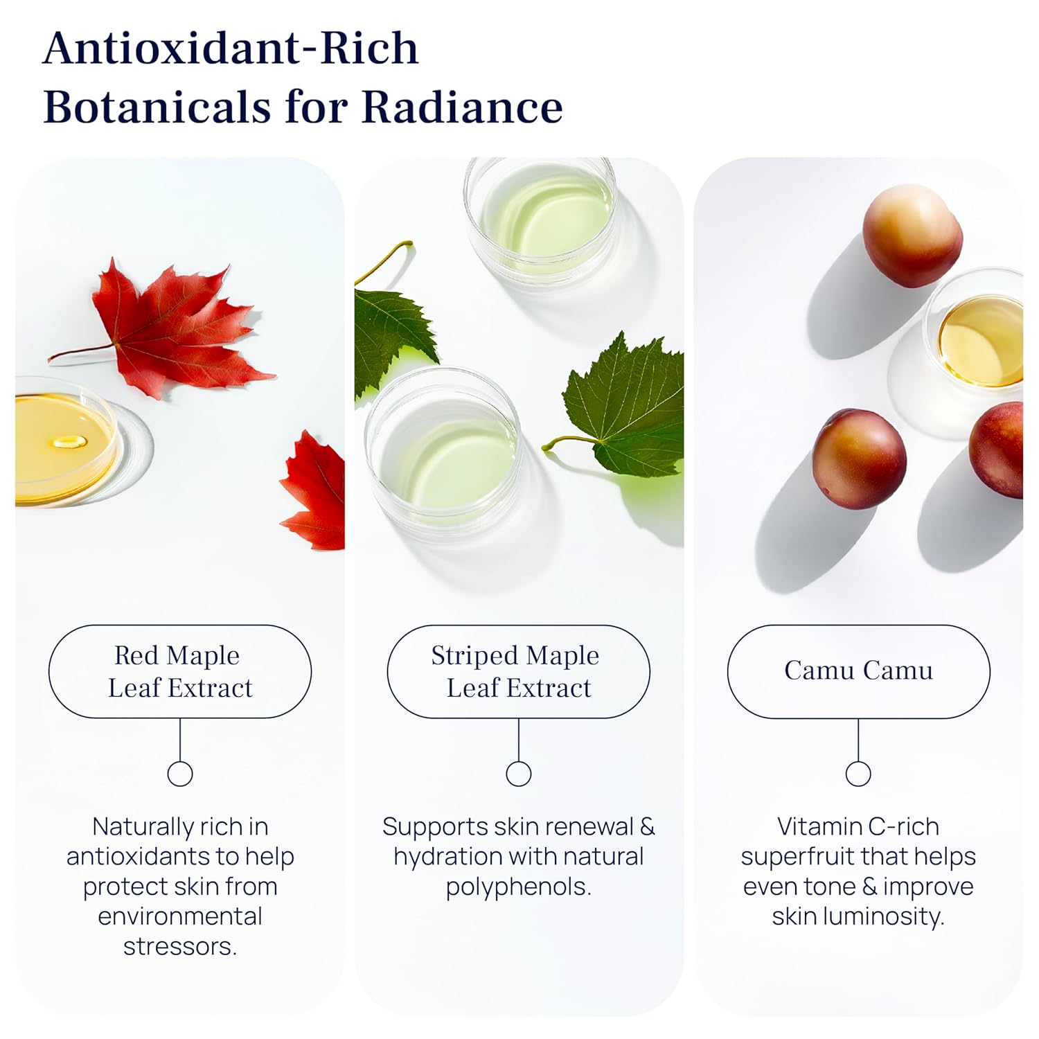 PUREANCE Organic Bakuchiol Plumping Serum - Bakuchiol for Face Skin and Wrinkles - Cellular Restore Serum - With Jojoba Oil, Sea Buckthorn, Camu Camu, Babchi, Maple Leaf Extracts & More - 1 Fl Oz-GlimoraGlow