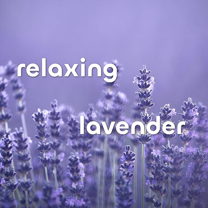 Seaweed Bath Co. Hydrate Body Cream, Lavender Scent, 6 Ounce, Nourishing Hand & Body Lotion Moisturizer for Dry Skin, with Sustainably Harvested Seaweed, Kukui Oil, Hyaluronic Acid, Shea Butter-GlimoraGlow