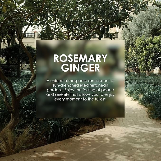 Jean & Len Heavenly Hand & Body Balm Rosemary & Ginger, for a fragrant care experience, with organic argan oil and shea butter, minimalistic bottle, without parabens & silicones, 16.91 Fl. Oz.-GlimoraGlow