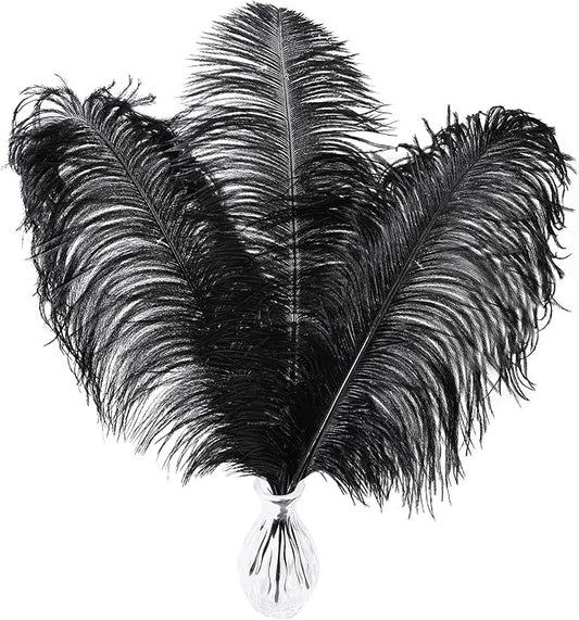 Larryhot Black Ostrich Feathers Bulk - 16-18 inch 10pcs Feathers for Vase,Wedding Party Centerpieces and Home Decorations (Black)