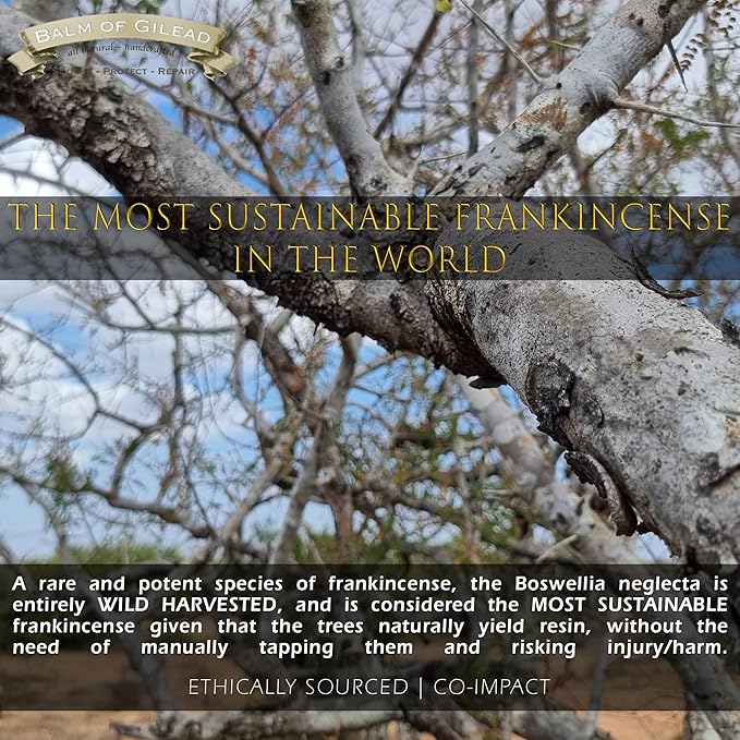 BALM OF GILEAD Neuropathy Frankincense & Sweet Myrrh Therapeutic Rubbing Oil - Instant Diabetic's & Autoimmune Dry Skin Relief & Repair, 2 fl oz-GlimoraGlow