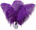 Larryhot Purple Large Ostrich Feathers - 10pcs 16-18 inch Natural Feathers for Vase and Wedding Party,Christmas Decor(Purple)